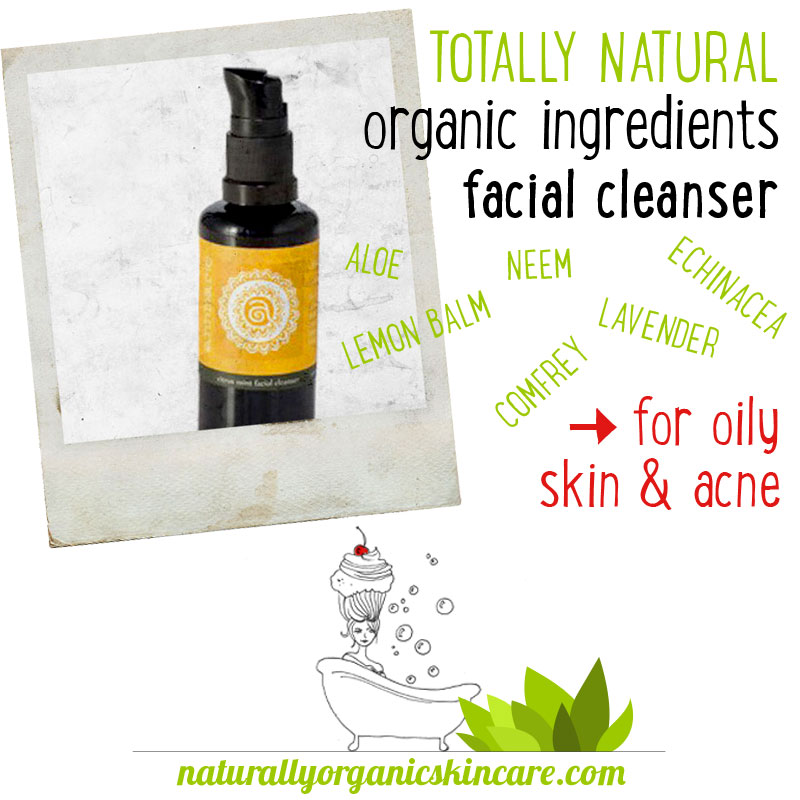 natural organic facial cleanser citrus mint annmarie gianni skin care