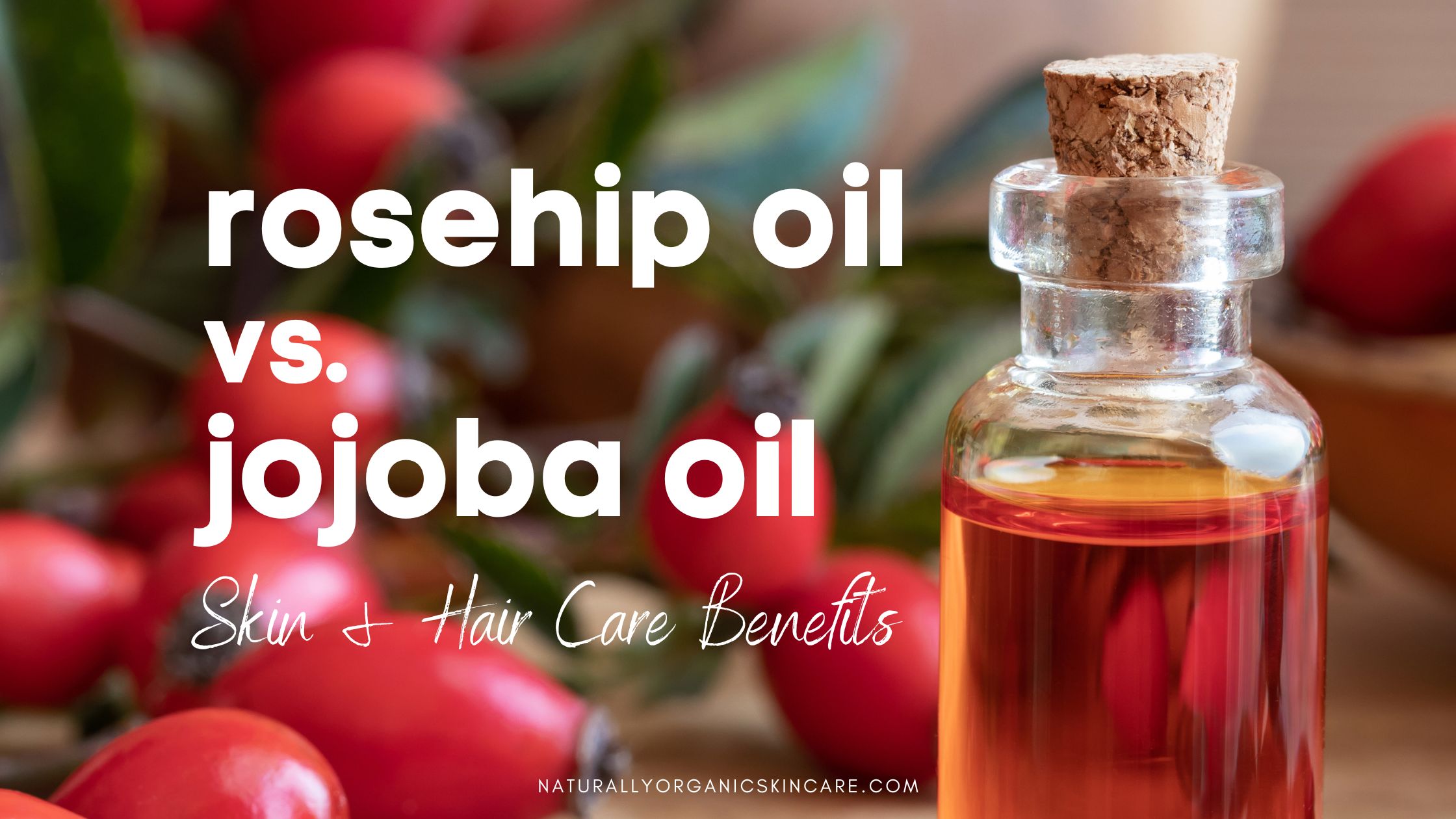 rosehip oil versus jojoba oil