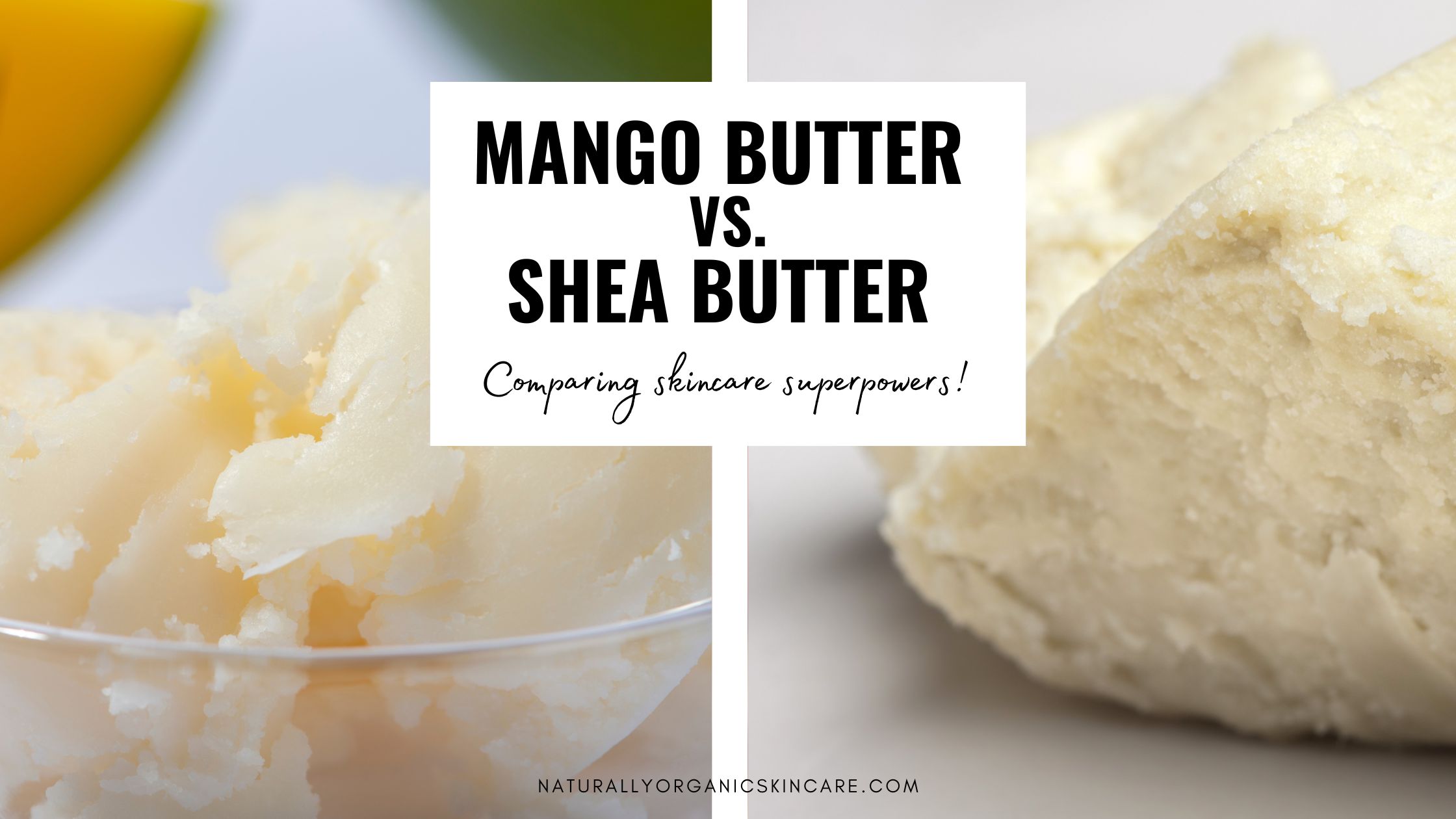 Shea, Cocoa, Mango Butters Set by Better Shea Butter - Each Butter Is